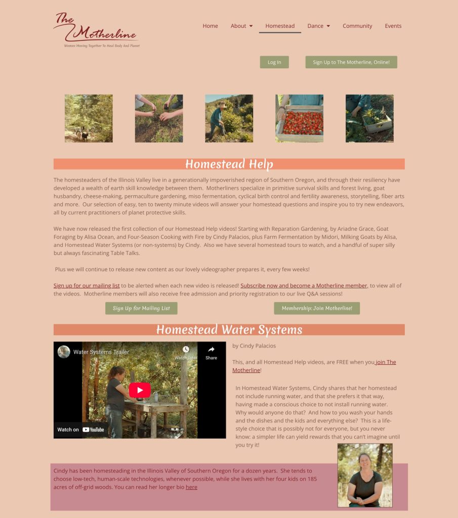 Screenshot of The Motherline Homestead page 