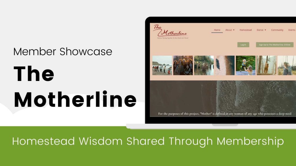 Featured image for The Motherline Case Study