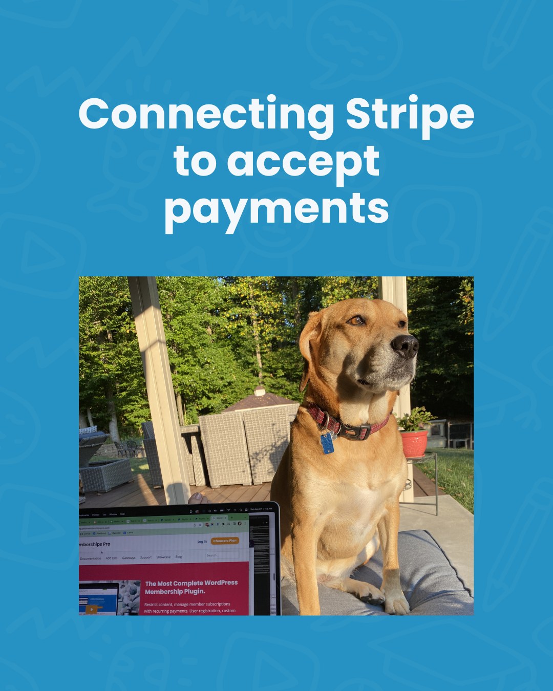 Payment processing sounds intimidating until you actually do it. Stripe has made this remarkably simple. The integration...