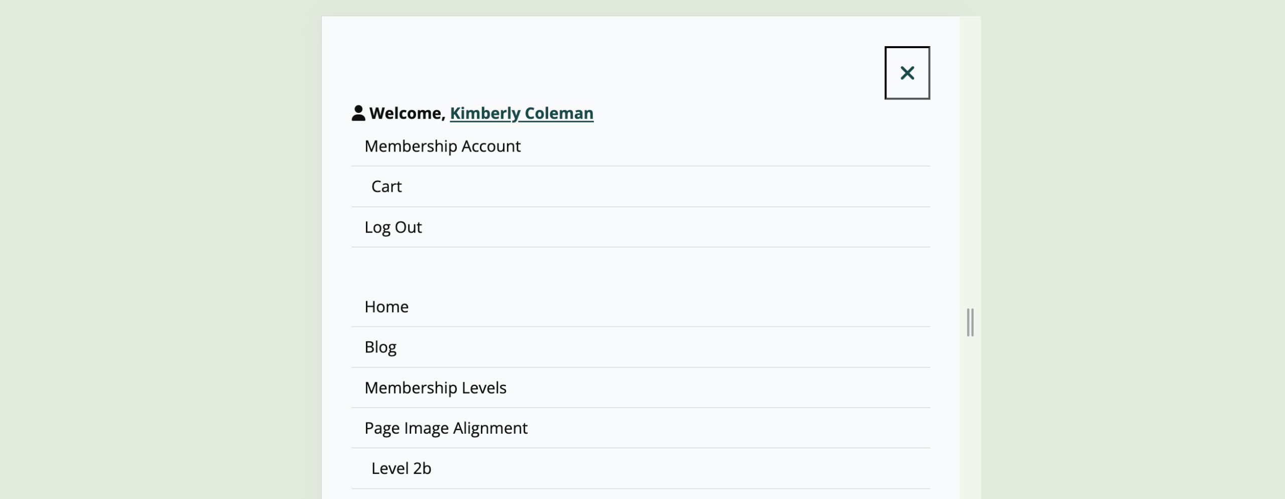 Screenshot demonstrating how the mobile menu appears in Memberlite 7.0+