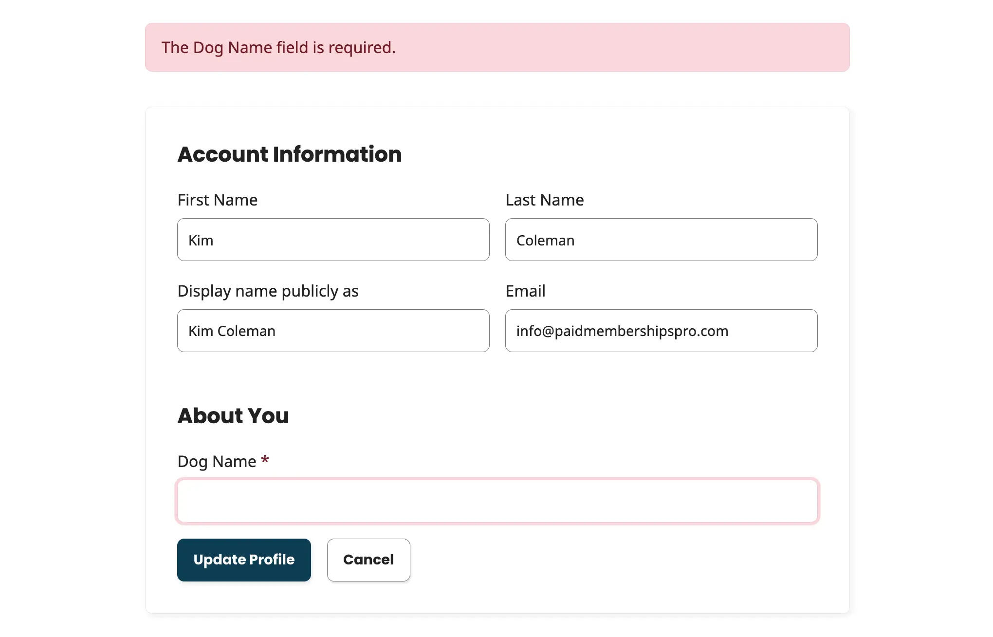 Edit Profile page warning message and highlighted (error-state) input fields with asterisks on required fields