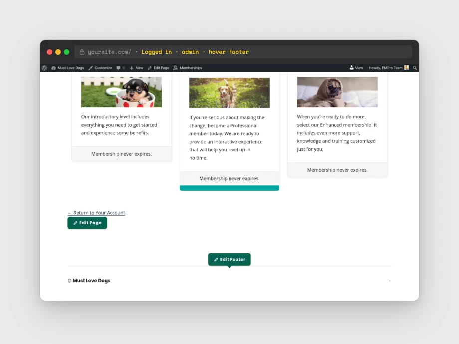 Front-end view with the Edit Footer tooltip on hover over the active footer