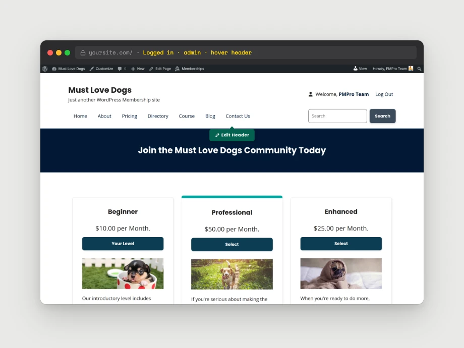Front-end view with the Edit Header tooltip on hover over the active header