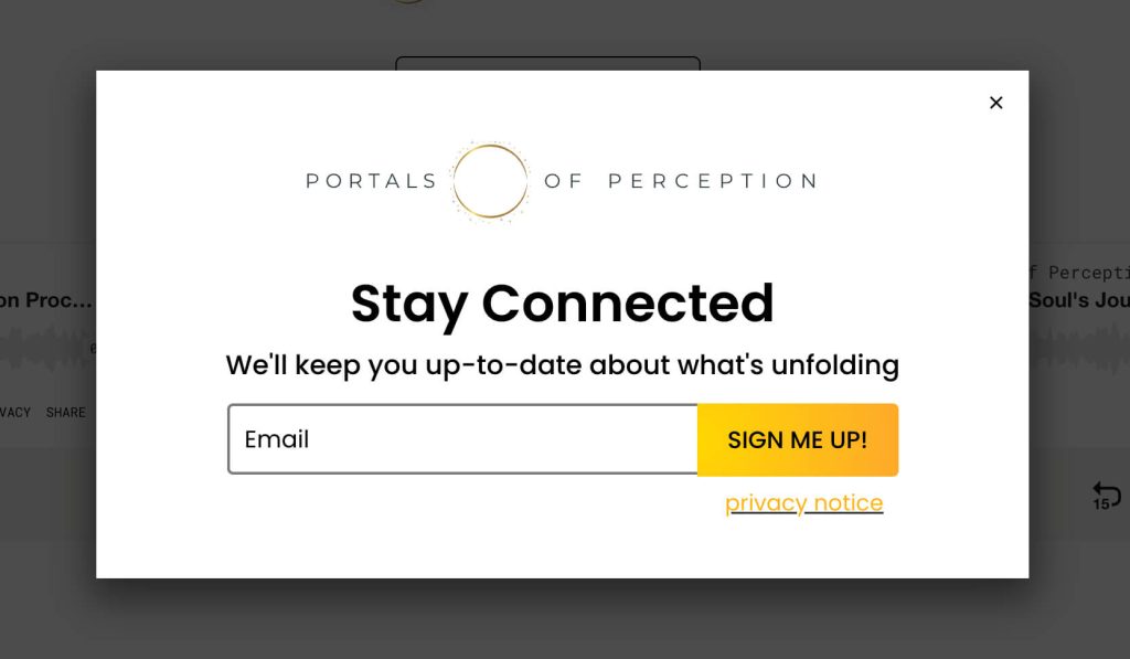 Screenshot of the Newsletter sign up pop up from Portals of Perceptions