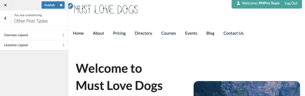 Memberlite Other Post Types Tab in the Customizer