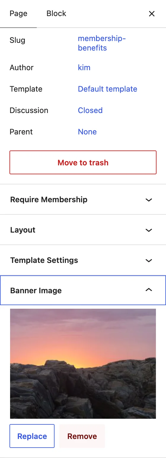 Banner Image panel in the block editor sidebar with a banner image set